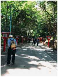 【東京・八王子】東京で大自然を楽しめるスポット＊高尾山＊
