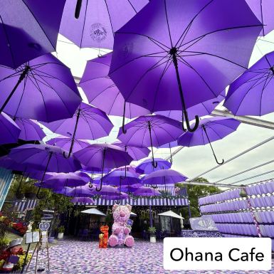 Step into Fairytale at Ohana Cafe-Miaoli's Most Instagrammable