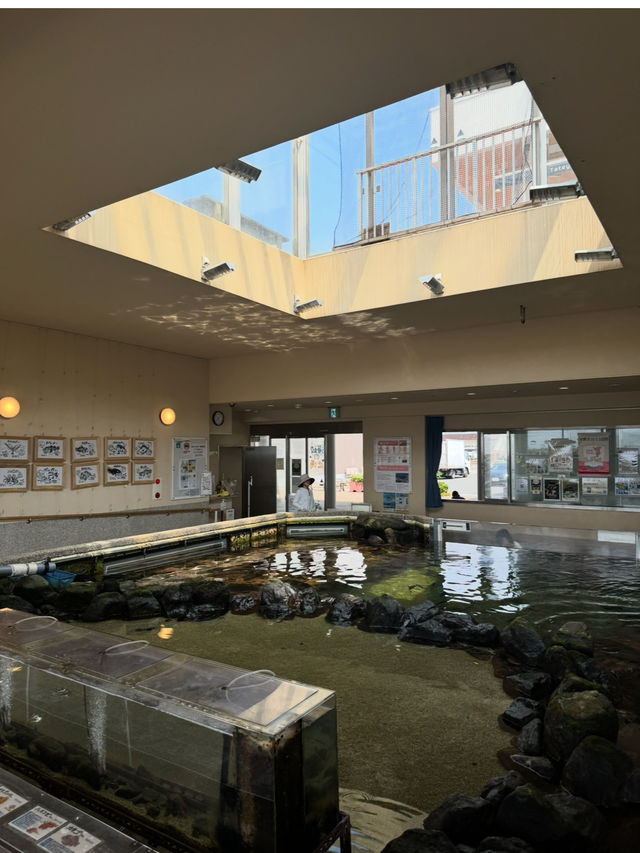 展望台からは館山湾が一望できる千葉の絶景道の駅「渚の駅 たてやま」🫣💞