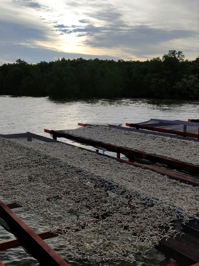Labuan Pearl of Borneo