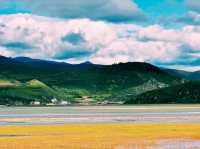 Explore the Serene Beauty of Napa Lake