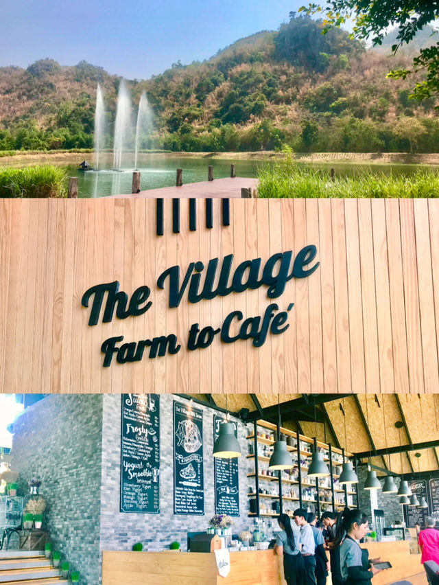 The Village Farm To Café คาเฟ่สายธรรมชาติ