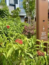 A Sky-High Escape: TRX City Park