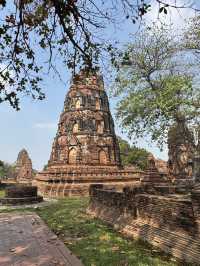 วัดมหาธาตุ อยุธยา – มรดกแห่งความขลังที่ห้ามพลาด