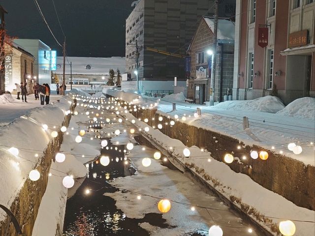 札幌9日遊打卡路線