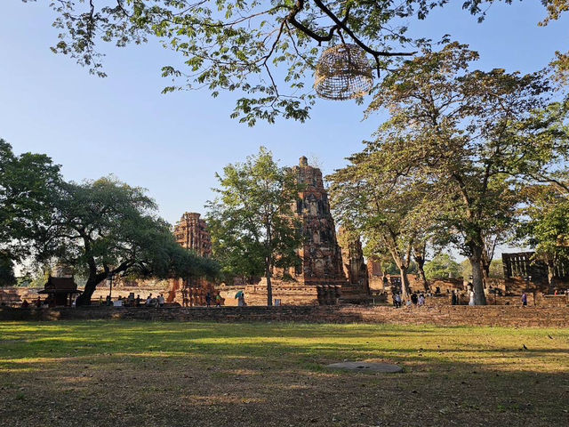 วัดมหาธาตุ ศูนย์กลางศาสนาโบราณ