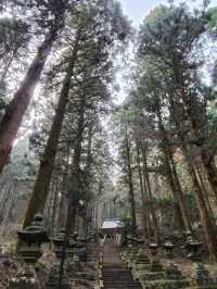 幽靜樹林裡簡樸的上色見熊野座神社