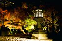  Nocturn Delights at the Eikando-ji Temple in Kyoto