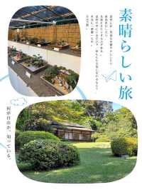 明治神宮內有乾坤👣園中園
