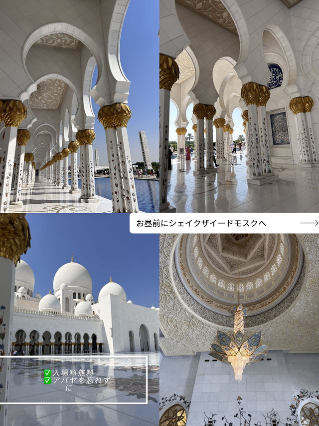 日帰りアブダビ旅行🇦🇪