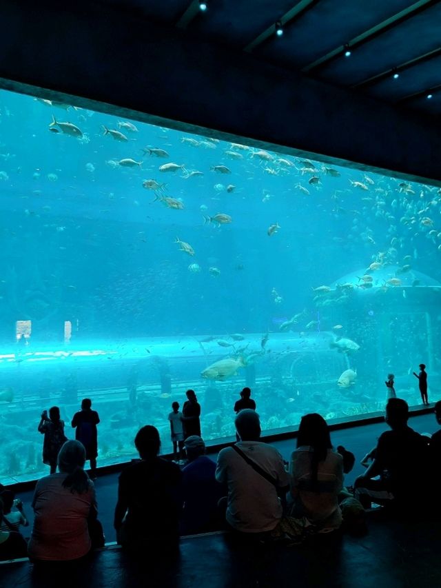 富國島Vinwonders 樂園:越南版的迪士尼 富國島Vinwonders 樂園:越南版的迪士尼