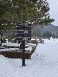 이국적 감성 프렌치가든의 설경이 아름다운곳💜