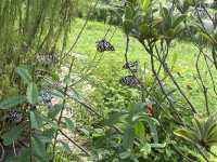 Lessons of Ecology at the Lions Nature Education Centre
