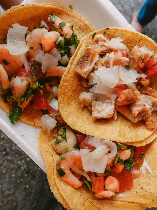 セノーテ巡りするならここ！バヤドリド🇲🇽