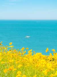 봄여름 부산 여행 코스 추천 오륙도 해맞이공원🌼🌿