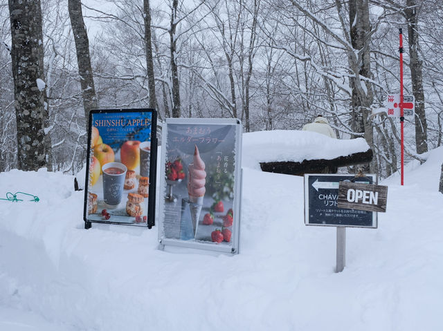 Hakuba Iwatake Mountain Resort