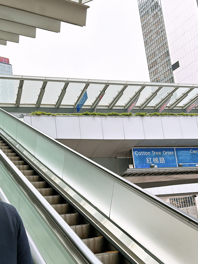 🎏維港附近發現🇭🇰有多個不明屋仔⁉️