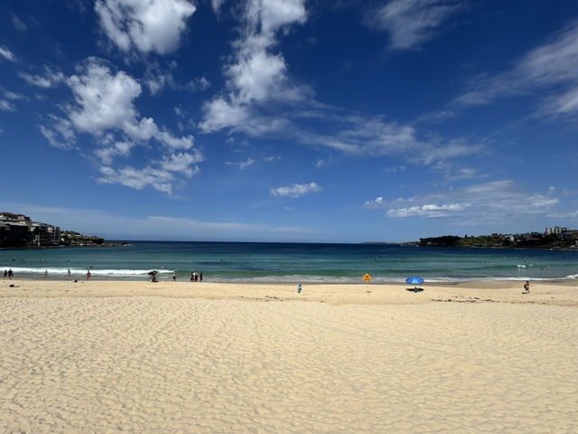 Come explore Sydney!