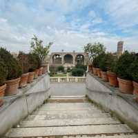 Echoes of Empire at the Roman Forum