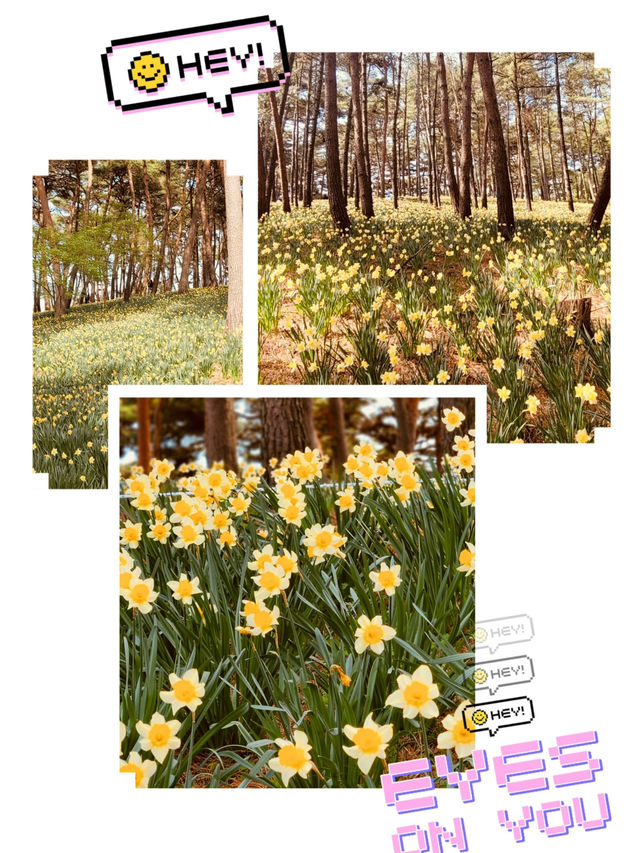 Spring's Historical Charm and Floral Majesty 