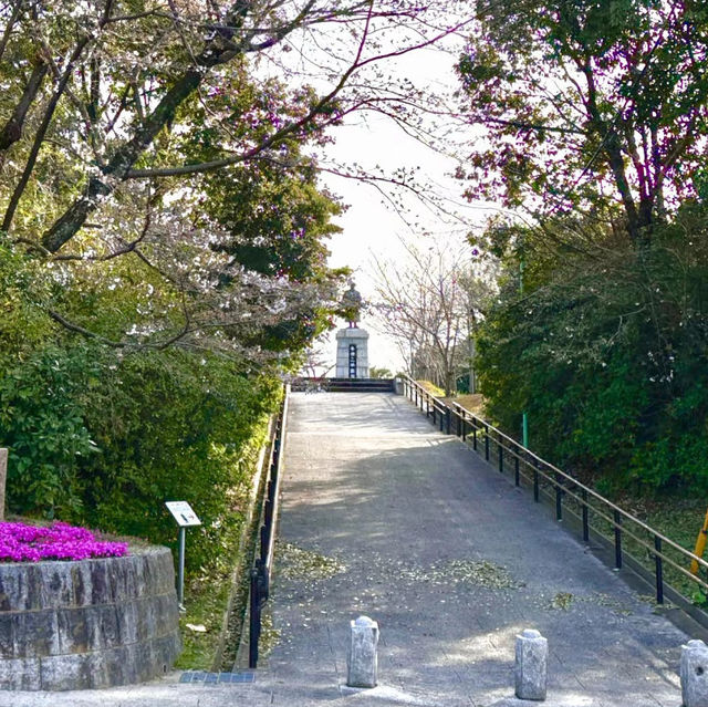 天城展望台•櫻花與海港美景