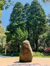Fuxing Park: A Hidden Gem of Tranquility