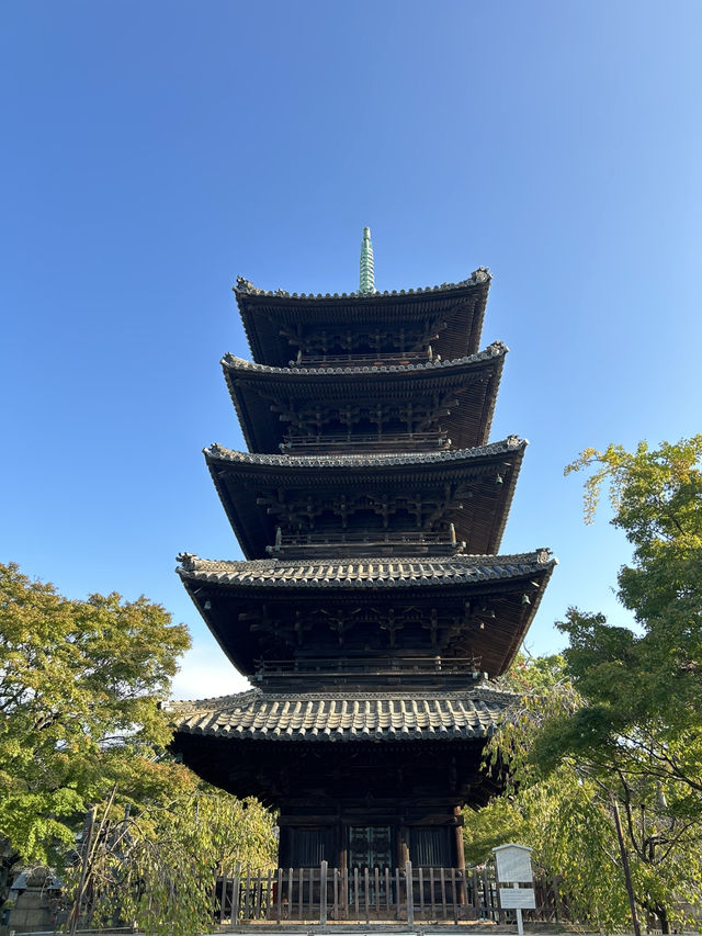 見どころいっぱい名古屋観光