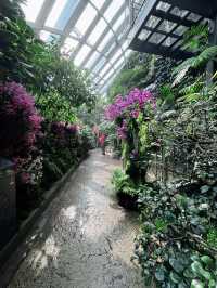 Sakura, Supertrees, and Sundae Bliss! Discovering the Magic of Gardens by the Bay