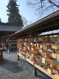 二千年多年歷史的阿蘇神社回來了