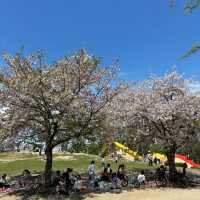  吉原兒童公園~色彩斑斕的童年