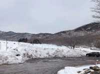 日本群馬県自由行 赤城山