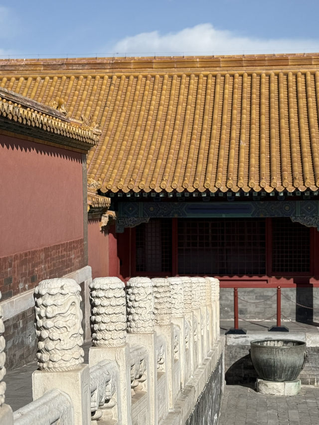 🇨🇳Beijing Forbidden City Day Tour