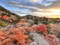 Discovering the Magic of Kiyomizu-dera ✨ | Kyoto’s Must-Visit Spot for Every Young Explorer