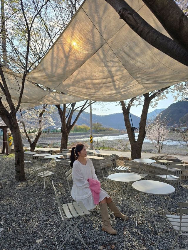 벚꽃엔딩전 가봐야할 낭만가득 밀양카페🌸