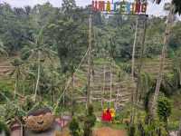 3 Delicious Bali Dining Picks