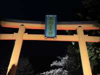 【京都】平野神社の夜桜