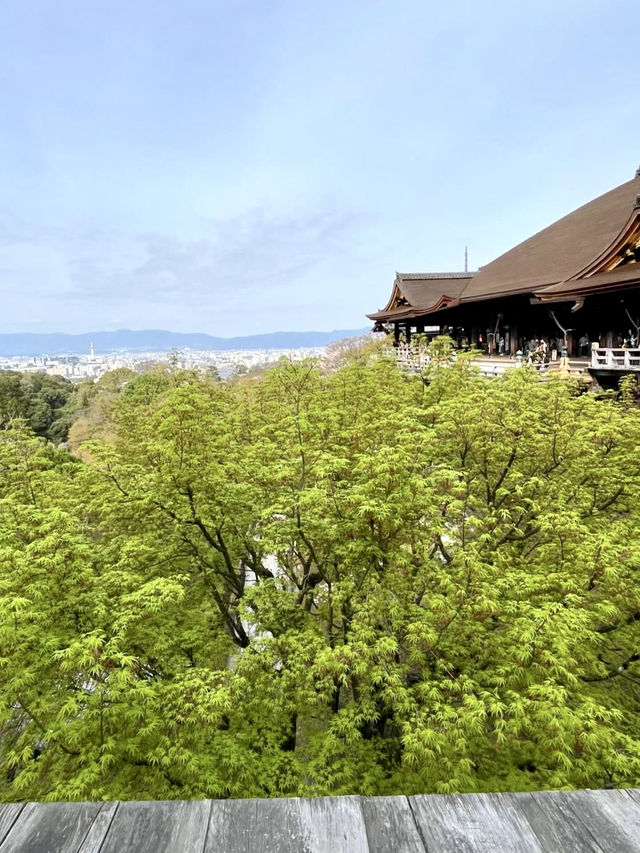 Springtime at Kiyomizu-dera🌸