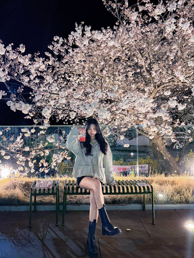 울산 여행 오셨나요? 울산역 도착하자마자 가야할 곳, 여기예요!  