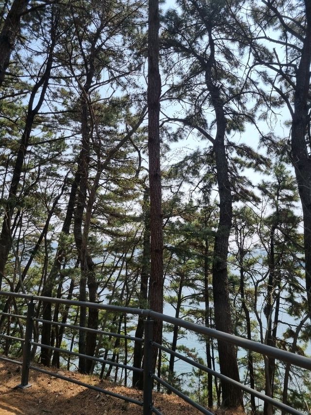 바다가 보이는 힐링 산책 명소, 씨릉섬🏝