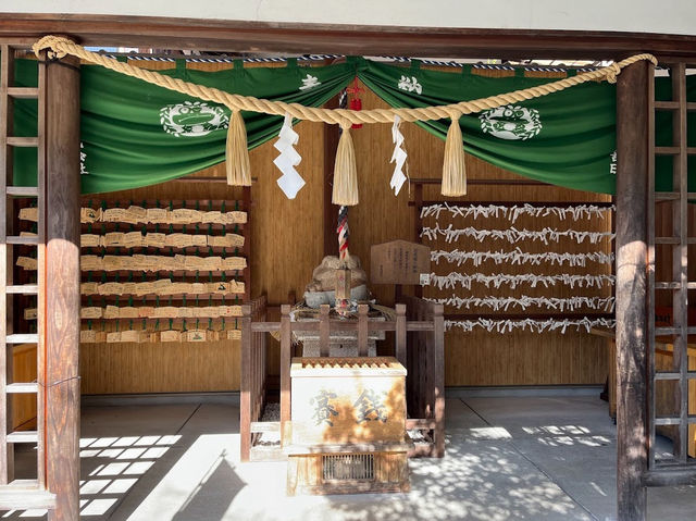 下呂溫泉老家 參拜青蛙大神🐸