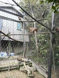 【山口】アート！遊園地！動物園！炭鉱！一日中楽しんで学べる公園・常磐公園