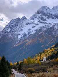 Into the Heart of Autumn: Jiuzhaigou’s Timeless Charm