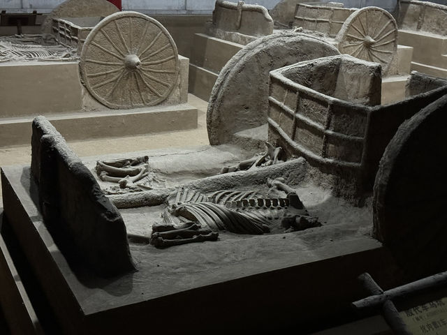 Walking Through the Cradle of Chinese Civilization: Yinxu's Palace and Temple Ruins