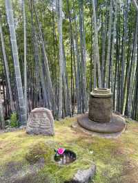 【小田原】人工物と自然が混ざりあう、不思議な空間