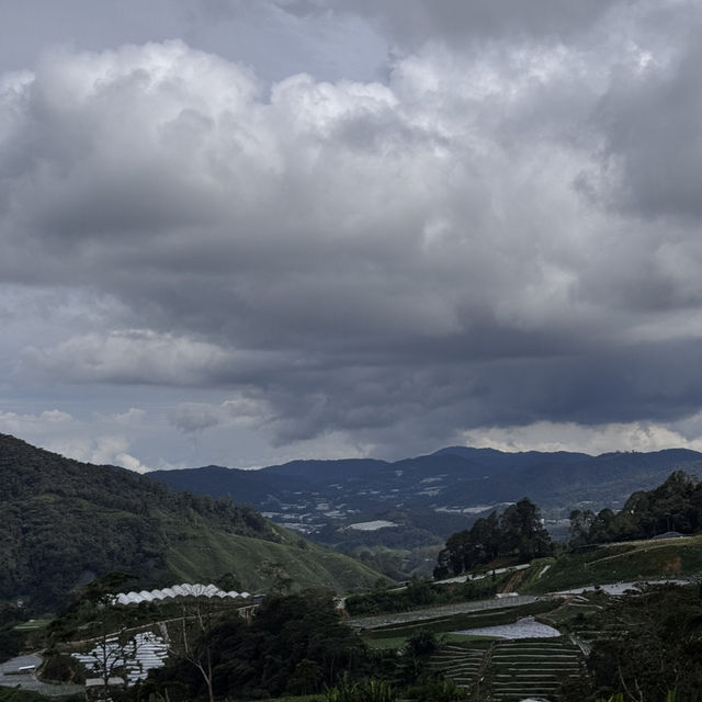 Brinchang 3 Days Itinerary