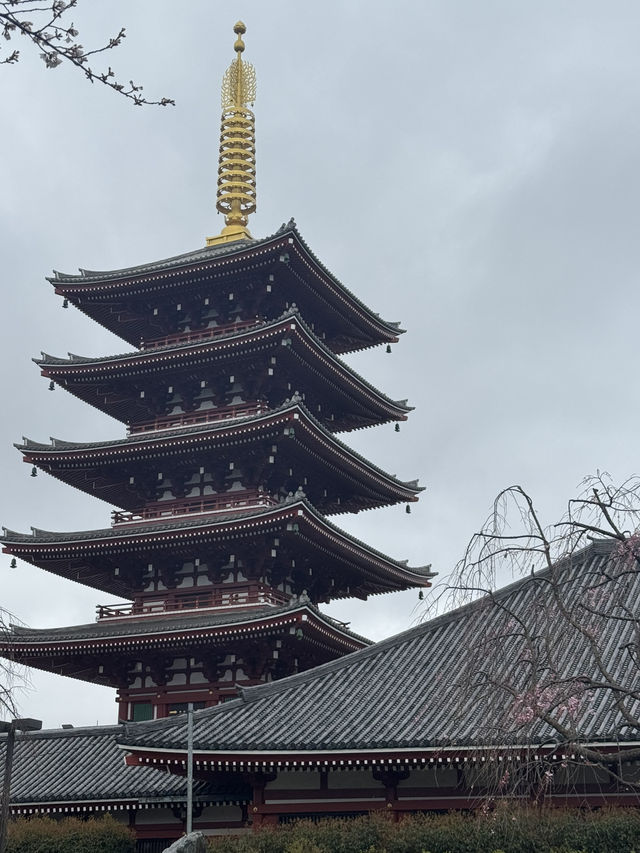 A Magical 6-Day Journey Through Osaka & Kyoto – Culture, Food, and Unforgettable Moments