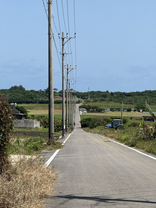 🏝️小浜島の絶景スポット「シュガーロード」🚴‍♀️