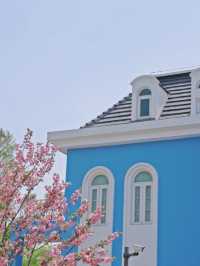Minhang Cultural Park Cherry Blossoms– Shanghai’s Best-Kept Sakura Secret