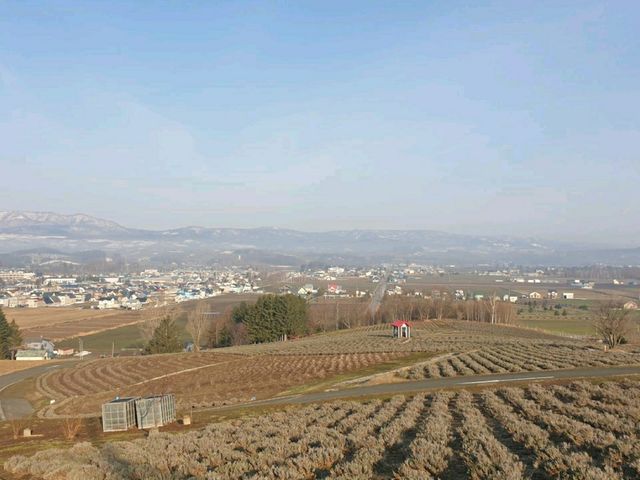 후라노. 히노데공원