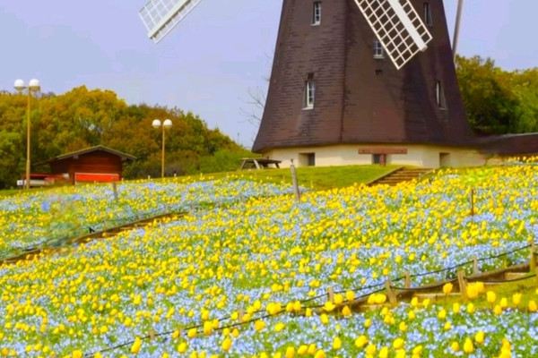 Tsurumi Ryokuchi Park – Osaka's Hidden Garden Wonderland | Trip